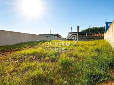 Lote/Terreno para alugar, 495m² no Jardim Carvalho, Ponta Grossa