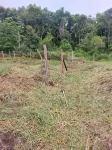 Lote/Terreno à venda, 402m² no , Balneário Piçarras