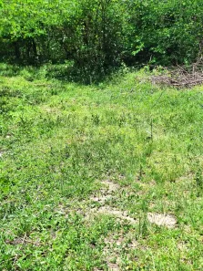 Lote/Terreno à venda, 14000m² no Campo Lindo, Seropédica