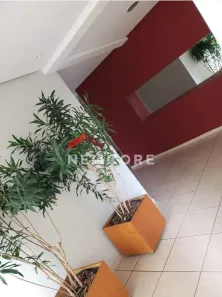 Apartamento com 3 Quartos à venda, 58m² no Novo Homero Thon, Santo André