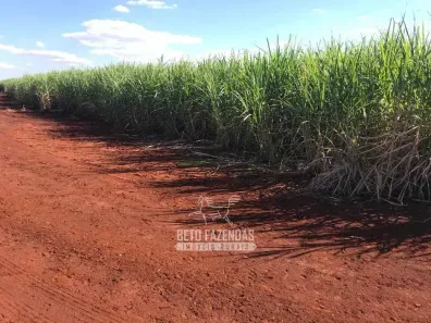 Fazenda/Sítio à venda, 19456800m² no , Gavião Peixoto