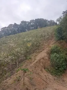 Lote/Terreno à venda, 48400m² no Centro, Pancas