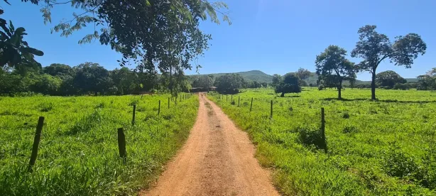 Fazenda/Sítio com 1 Quarto à venda, 100m² no Paracatuzinho, Paracatu