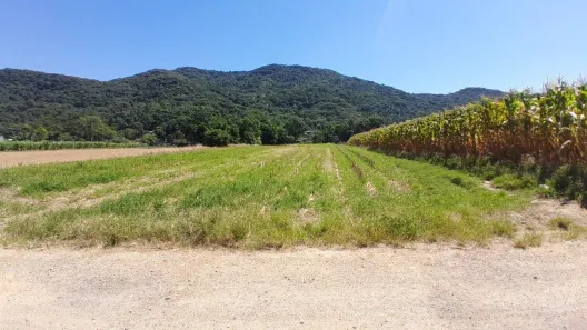 Lote/Terreno à venda, 11089m² no Sul do Rio, Santo Amaro da Imperatriz