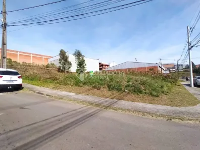Lote/Terreno à venda, 448m² no Cidade Nova, Caxias do Sul