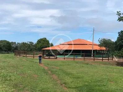 Fazenda/Sítio à venda, 39m² no , Marzagão