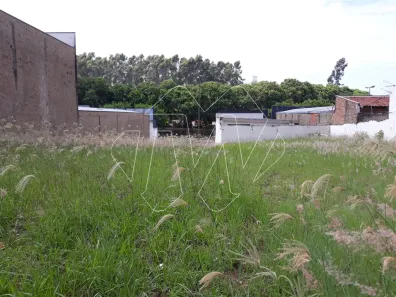 Lote/Terreno à venda, 1m² no Vila Ferroviária, Araraquara