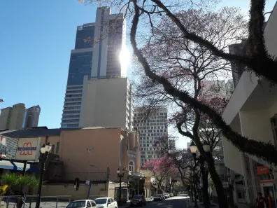 Apartamento com 1 Quarto para alugar, 34m² no Centro, Curitiba