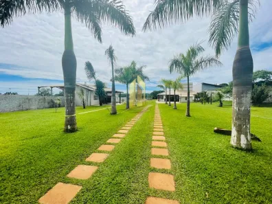 Fazenda/Sítio com 4 Quartos à venda, 4850m² no Jardim Palestina, Franca