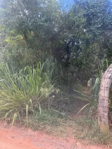 Fazenda/Sítio à venda, 20000m² no , Brasília