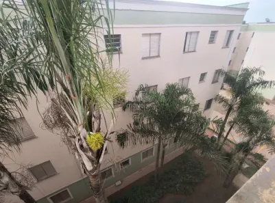 Apartamento com 2 Quartos para venda ou aluguel, 47m² no Jardim Califórnia, Araraquara