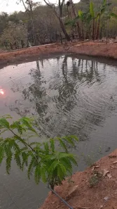 Fazenda/Sítio com 3 Quartos à venda, 4m² no , Cocalzinho de Goiás