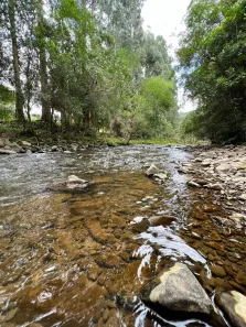 Fazenda/Sítio à venda, 20000m² no , Urubici