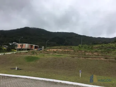 Lote/Terreno à venda, 458m² no Itacorubi, Florianópolis
