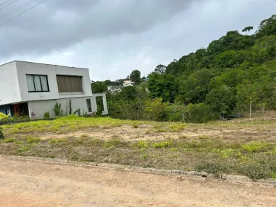 Lote/Terreno à venda, 600m² no Borralho, Camaragibe