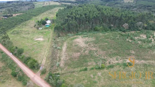 Fazenda/Sítio à venda, 48000m² no , Triunfo