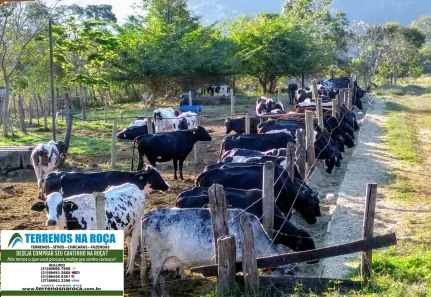 Fazenda/Sítio com 6 Quartos à venda, 1500000m² no , Itapecerica