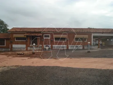 Casa com 4 Quartos à venda, 302m² no Jardim Botânico, Araraquara