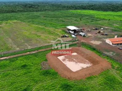 Fazenda/Sítio à venda, 500m² no , Carolina