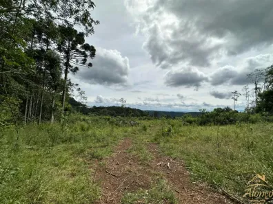 Lote/Terreno à venda, 2m² no , Nova Petrópolis