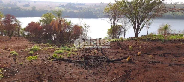 Fazenda/Sítio à venda, 3969m² no Tocantins, Uberlândia