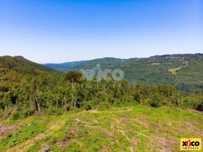 Fazenda/Sítio com 1 Quarto à venda, 5000m² no Nova Petrópolis, Nova Petrópolis