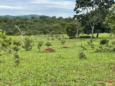 Lote/Terreno à venda, 8m² no Centro, Palestina de Goiás
