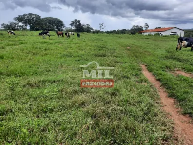 Fazenda/Sítio à venda, 1m² no Centro, Formosa