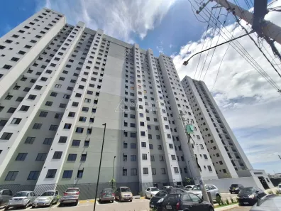 Apartamento com 2 Quartos para alugar, 42m² no Residencial Parque da Fazenda, Campinas