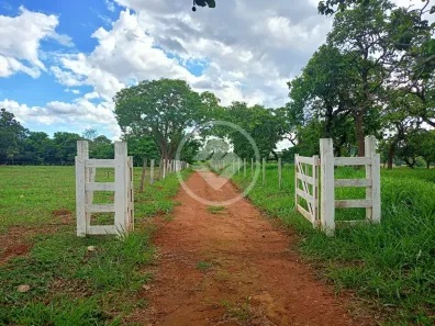 Fazenda/Sítio com 2 Quartos à venda, 4m² no , Bela Vista de Goiás