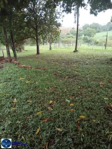 Fazenda/Sítio com 3 Quartos à venda, 22m² no Setor Central, Santa Rosa de Goiás