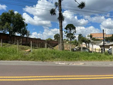 Lote/Terreno à venda, 3200m² no Campo Largo da Roseira, São José dos Pinhais