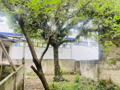 Casa com 3 Quartos à venda, 374m² no Jardim Regina Alice, Barueri