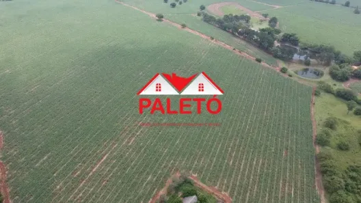 Fazenda/Sítio com 1 Quarto à venda, 242000m² no , Cesário Lange
