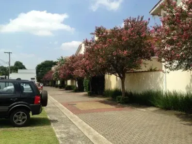 Casa de Condomínio com 2 Quartos à venda, 100m² no Vila São Silvestre, São Paulo