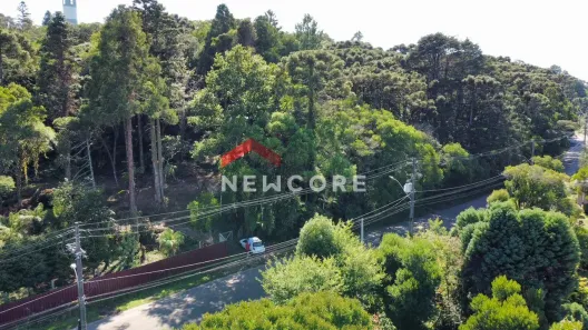 Lote/Terreno à venda, 2332m² no Centro, São Francisco de Paula