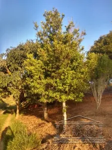 Fazenda/Sítio com 2 Quartos à venda, 95m² no Rio Abaixo, Jacareí