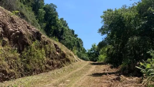 Lote/Terreno à venda, 12m² no Brandalise, Caxias do Sul