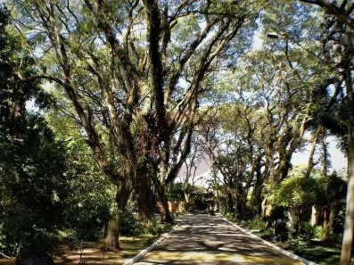 Lote/Terreno à venda, 609m² no Vila Vianna, Cotia