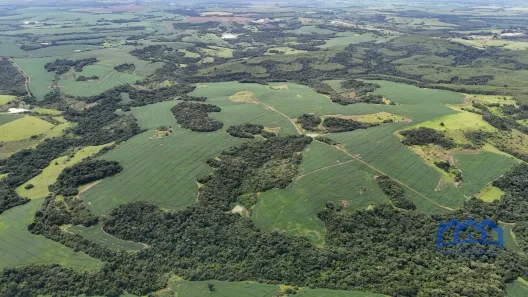 Fazenda/Sítio com 3 Quartos à venda, 4259200m² no , Paranapanema