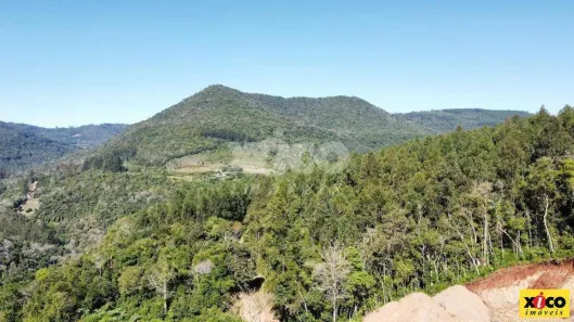 Fazenda/Sítio com 1 Quarto à venda, 5000m² no , Nova Petrópolis