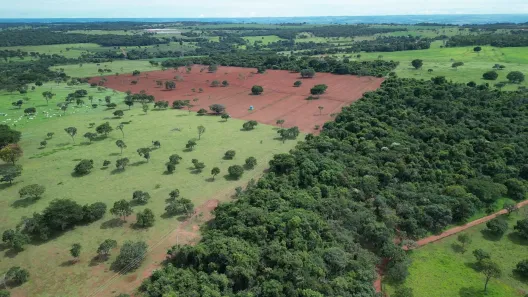 Fazenda/Sítio com 1 Quarto à venda, 100m² no Distrito Industrial, Uberlândia