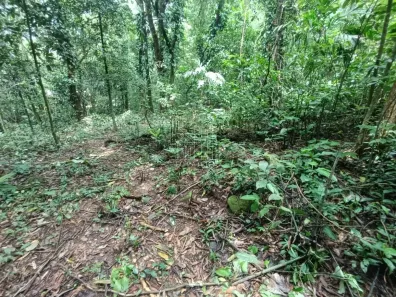 Lote/Terreno à venda, 1888m² no Limoeiro, Guapimirim