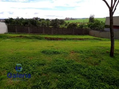 Lote/Terreno à venda, 507m² no Residencial e Empresarial Alphaville, Ribeirão Preto