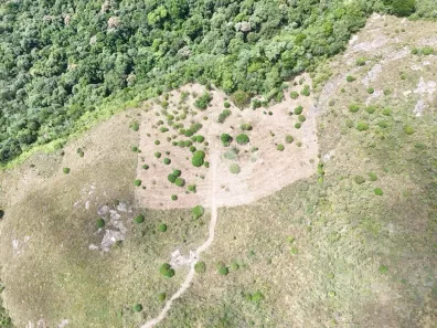 Lote/Terreno à venda, 20925m² no São Luiz do Purunã, Balsa Nova