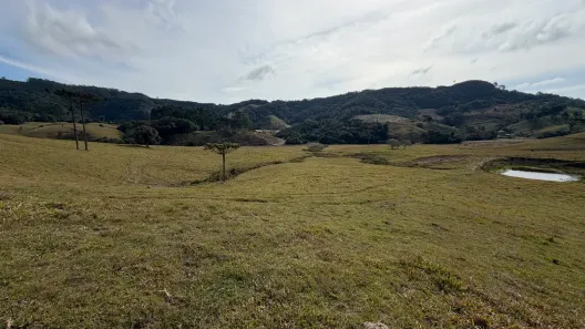 Fazenda/Sítio à venda, 23000m² no , Rancho Queimado