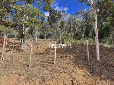 Lote/Terreno à venda, 1026m² no Colônia Alpina, Teresópolis