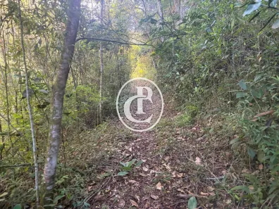 Fazenda/Sítio com 4 Quartos à venda, 200m² no São Francisco Xavier, São José dos Campos
