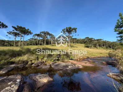 Lote/Terreno à venda, 20000m² no , Rancho Queimado