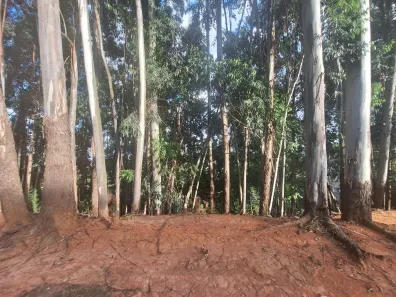 Lote/Terreno com 1 Quarto à venda, 1774m² no Tamboré, Barueri